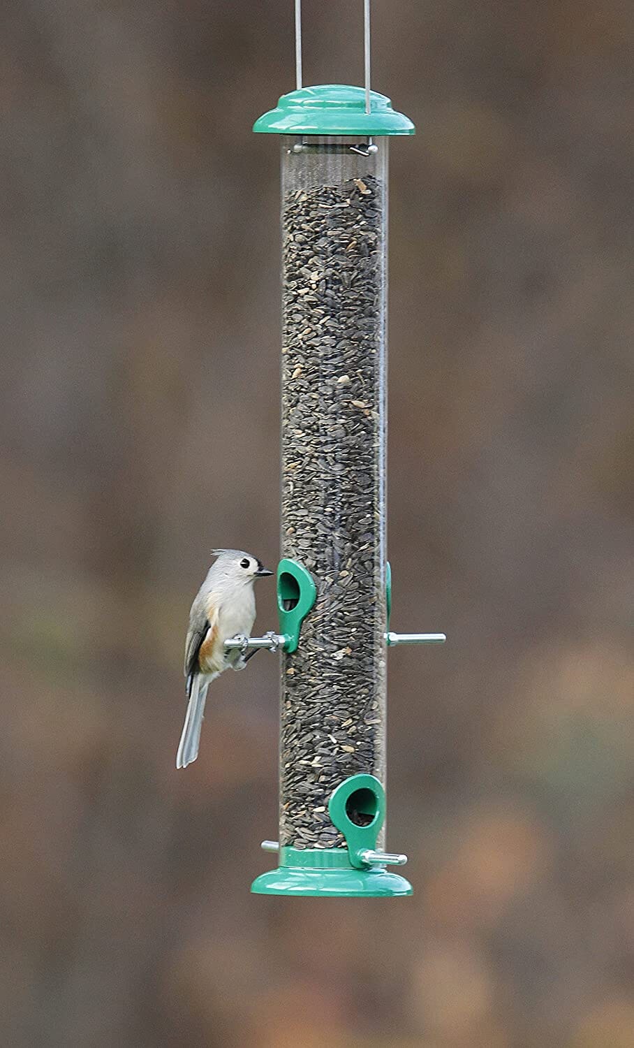 More Birds Metal Tube Seed Tubed Wild Bird Feeder - Green - 1.5 Lbs Cap  