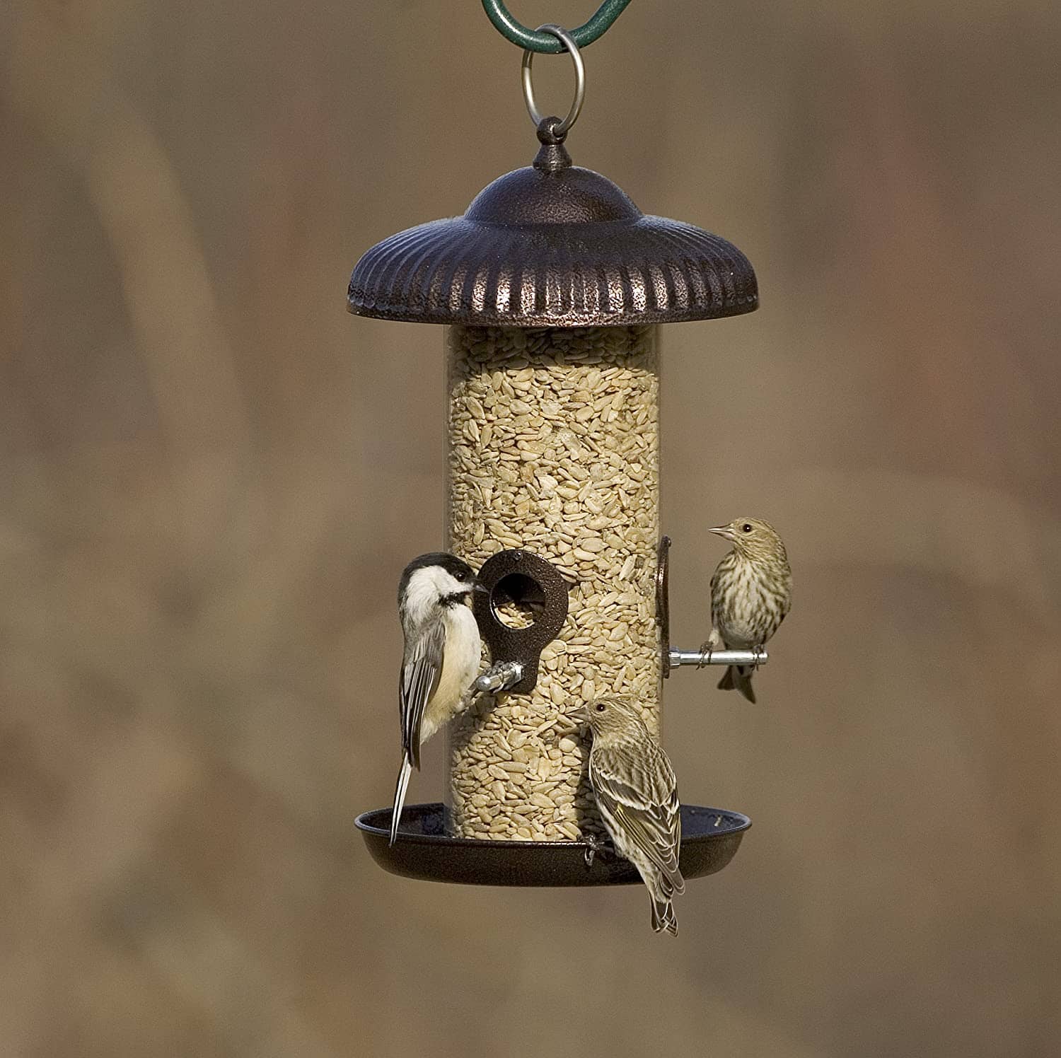 More Birds Prairie Sunflower Tube Feeder Wild Bird Feeder - Copper - 1.7 Lbs Cap  