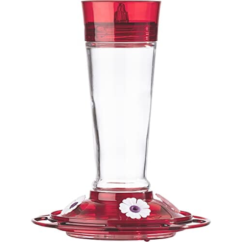 More Birds Ruby Glass Hummingbird Feeder - Red - 10 Oz Cap  