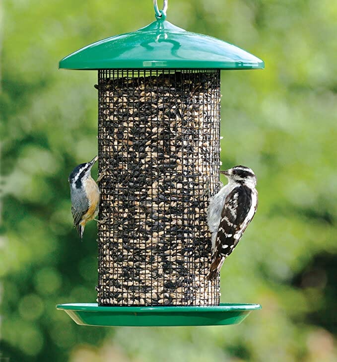 More Birds Screen Sunflower Wild Bird Feeder - Green - 4.7 Lbs Cap  