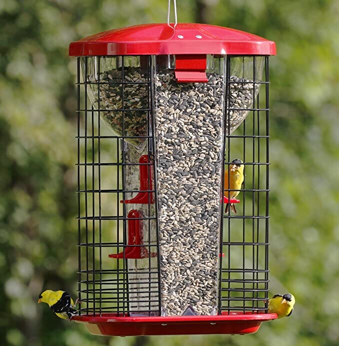 More Birds Squirrel Resistant Hopper Haven Wild Bird Feeder - Red - 9.4 Lbs Cap  