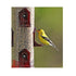 More Birds Tube Finch Seed Tubed Wild Bird Feeder - Maroon - 2.8 Lbs Cap  