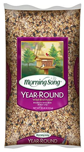 Morning Song Year-Round Wild Bird Food Seed Mix - 20 Lbs