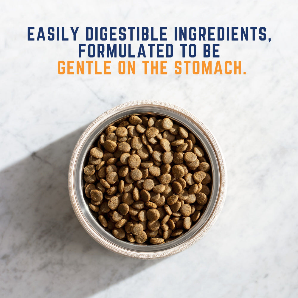 Natural Balance Gentle Balance Chicken, Barley, & Salmon Meal Formula Dry Dog Food  