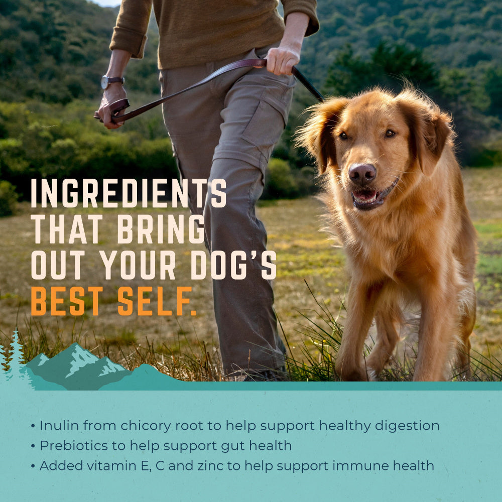Natural Balance Gentle Balance Chicken, Barley, & Salmon Meal Formula Dry Dog Food  