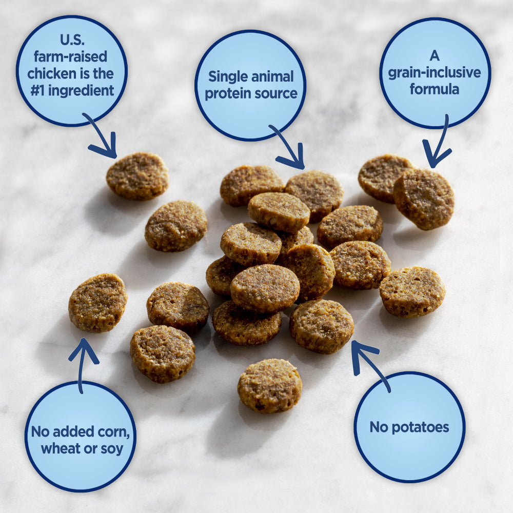 Natural Balance L.I.D. Limited Ingredient Diet Chicken & Brown Rice Formula Dry Dog Food  