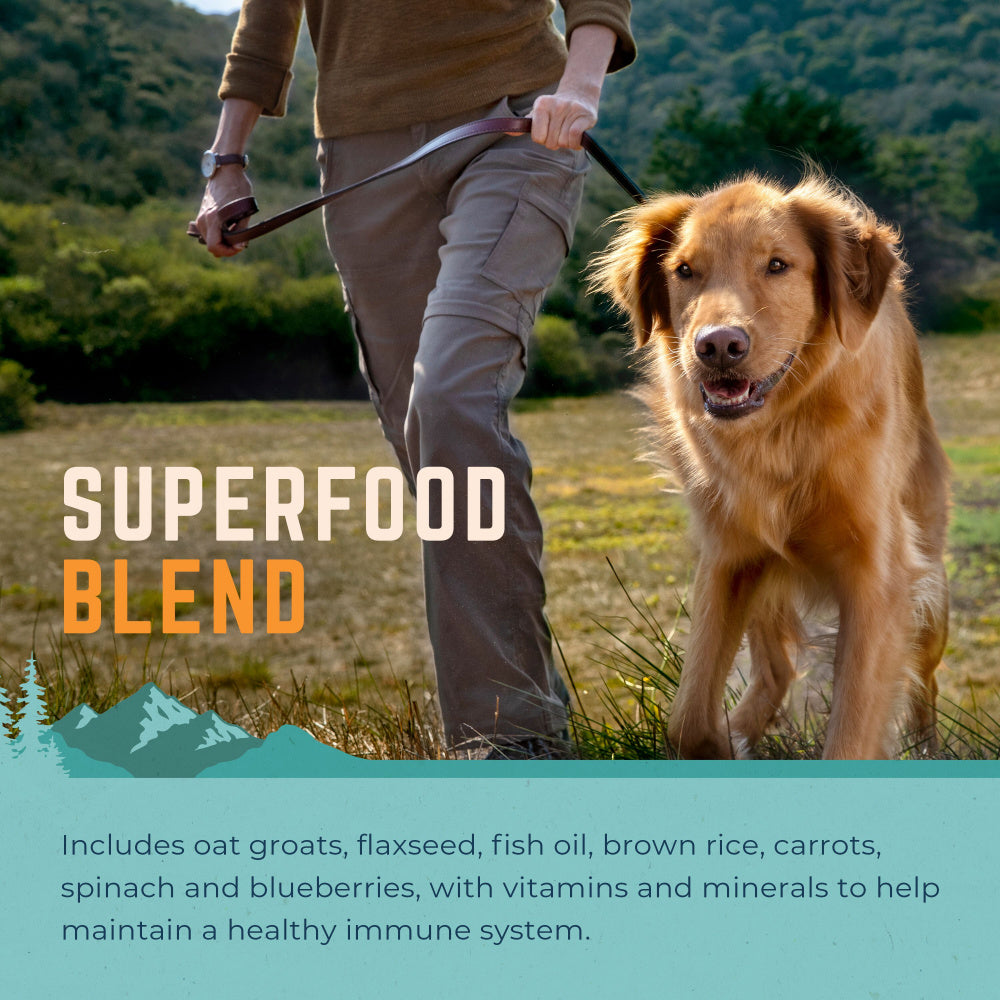 Natural Balance L.I.D. Limited Ingredient Diets Beef & Brown Rice Formula Dry Dog Food  