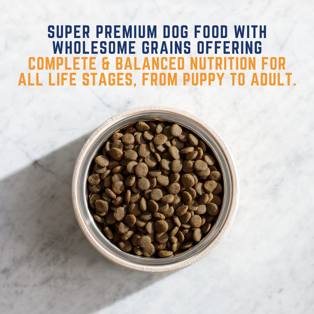 Natural Balance L.I.D. Limited Ingredient Diets Beef & Brown Rice Formula Dry Dog Food  