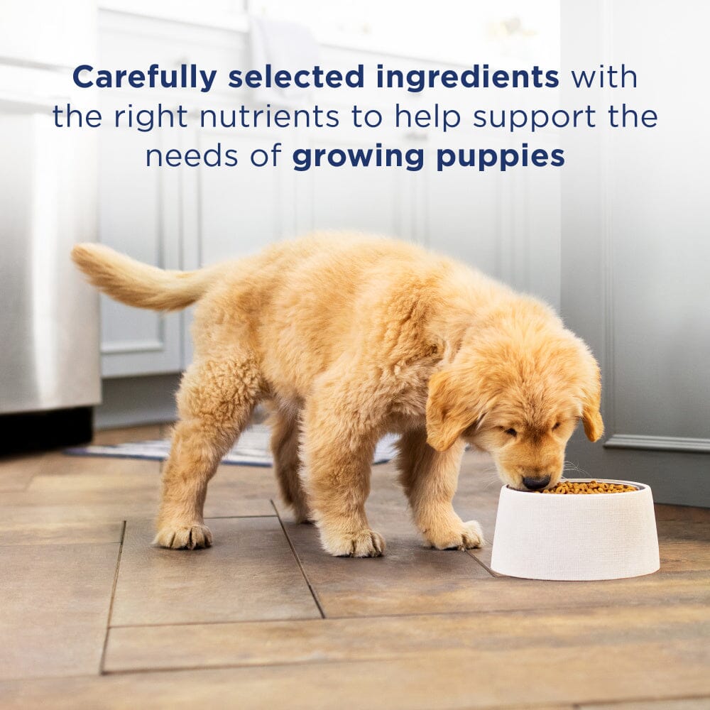 Natural Balance L.I.D. Limited Ingredient Diets Chicken & Brown Rice Puppy Formula Dry Dog Food  