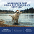 Natural Balance L.I.D. Limited Ingredient Diets Duck & Brown Rice Formula Dry Dog Food  