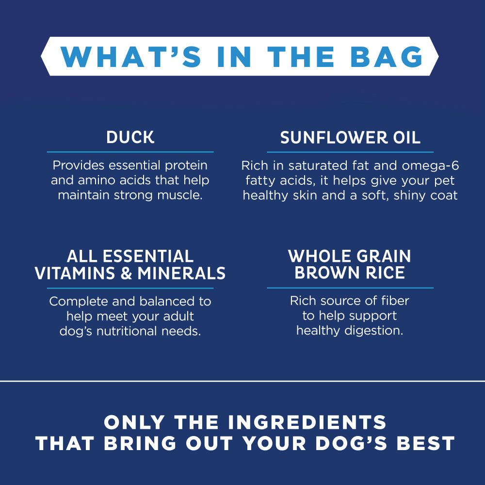Natural Balance L.I.D. Limited Ingredient Diets Duck & Brown Rice Formula Dry Dog Food  