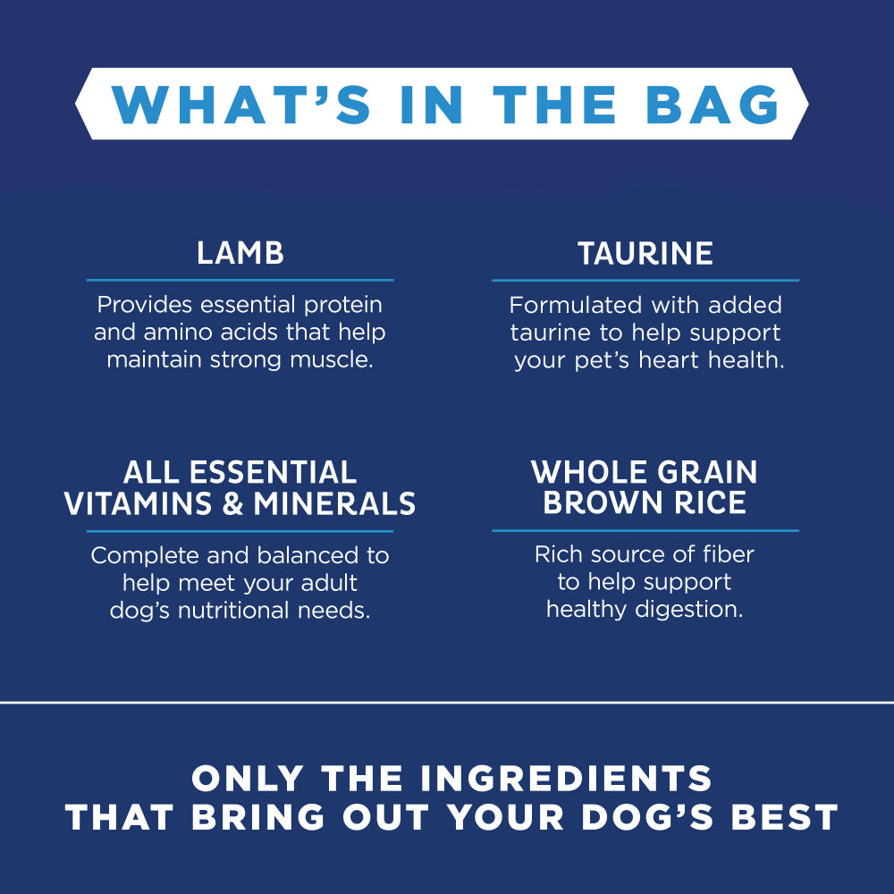 Natural Balance L.I.D. Limited Ingredient Diets Lamb & Brown Rice Formula Dry Dog Food  