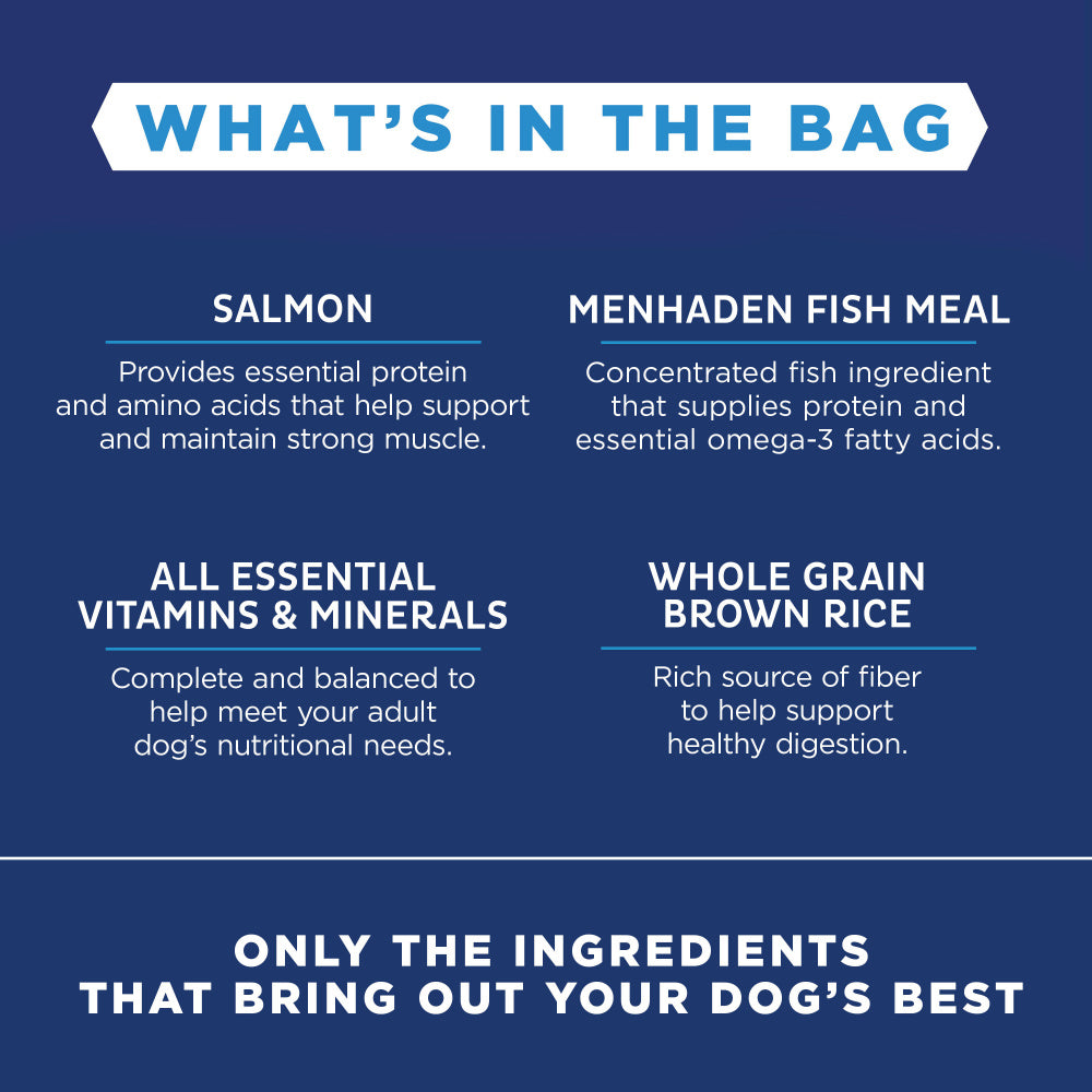 Natural Balance L.I.D. Limited Ingredient Diets Salmon & Brown Rice Formula Dry Dog Food  