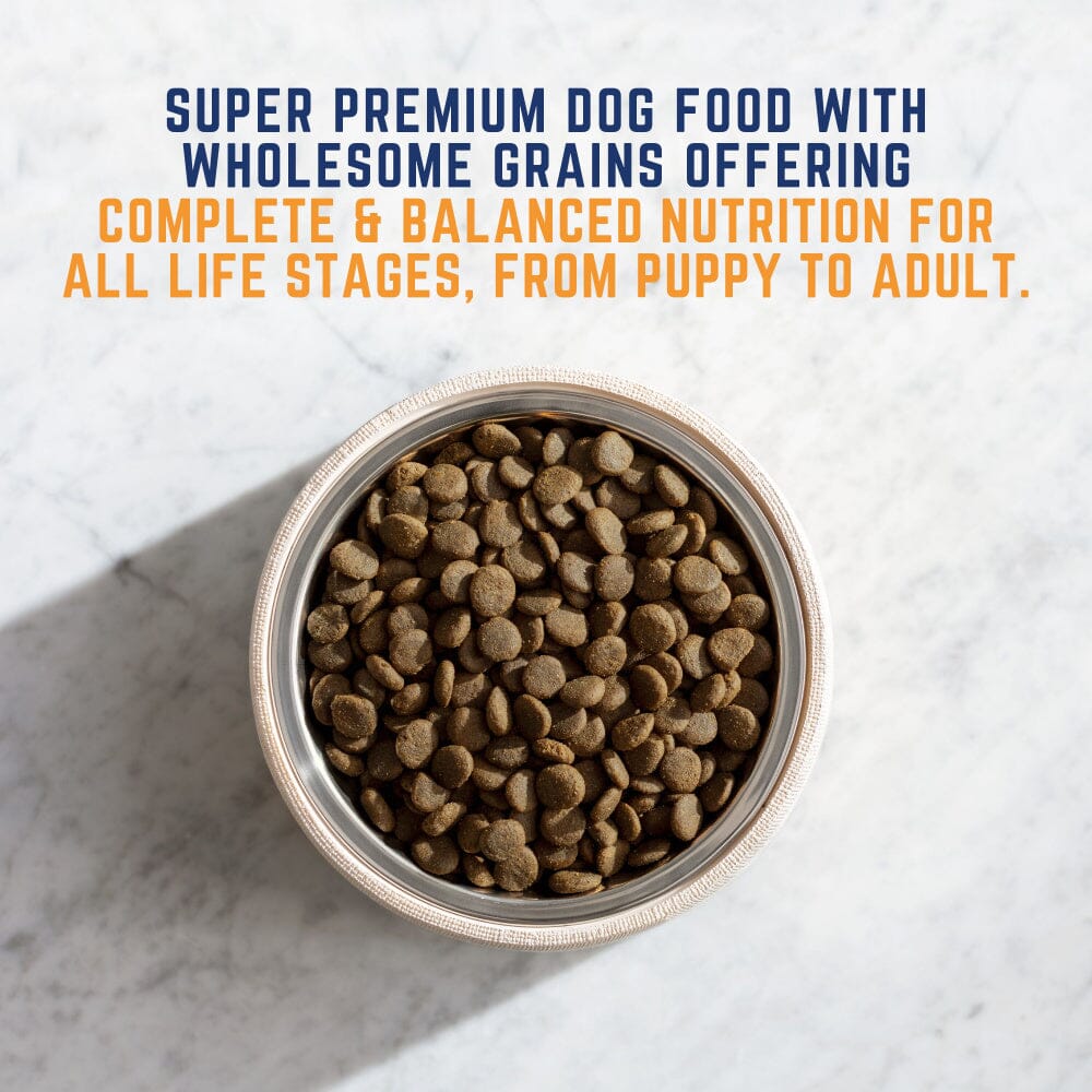 Natural Balance Original Ultra Chicken & Barley Formula Dry Dog Food  