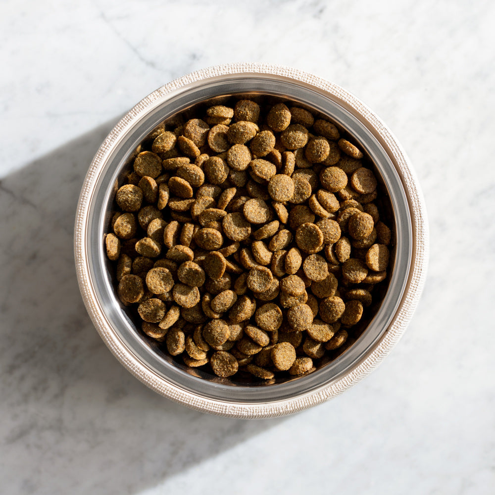 Natural Balance Original Ultra Grain Free Chicken Recipe Dry Dog Food  