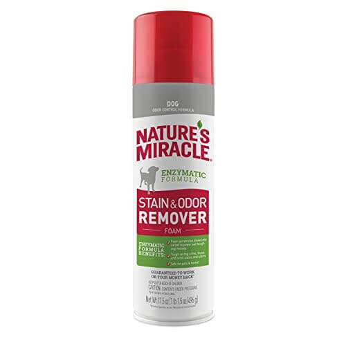 Nature's Mircale Dog Stain & Odor Remover Foam Gr Lbl - 17.5 Oz