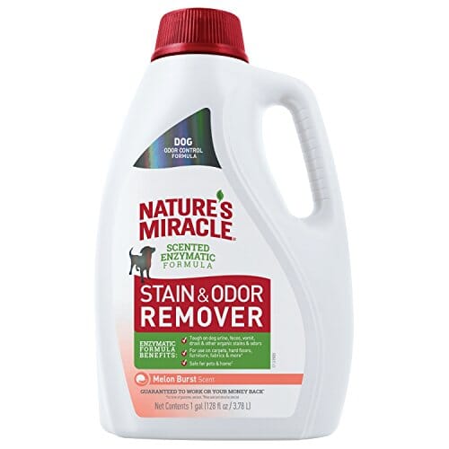 Nature's Mircale Pour Stain & Odor Remover for Dogs - Melon Burst - 1 Gal  
