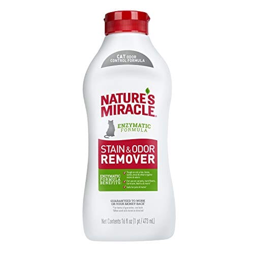 Nature's Mircale Stain & Odor Remover Pour for Cat - 16 Oz  