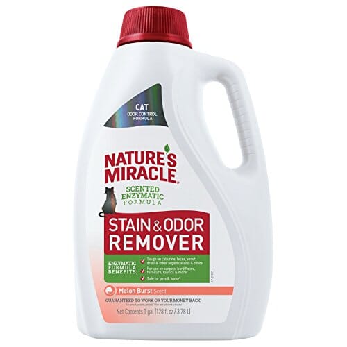 Nature's Mircale Stain & Odor Remover Pour for Cat - Melon Burst - 128 Oz  