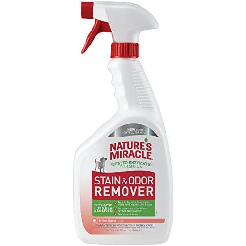 Nature's Mircale Stain & Odor Remover Spray for Dogs - Melon Burst - 32 Oz  