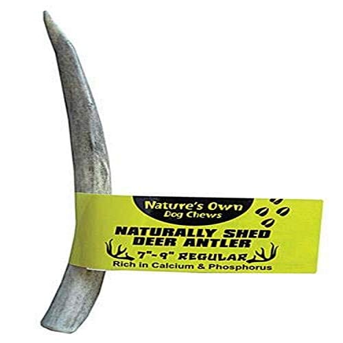 Nature's Own USA Elk Antler Natural Dog Chews - Natural - 7 - 9 In - Reg  