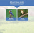 Nature's Way Bluebird Buffet Wild Bird Feeder - Blue - 6 Oz Cap  