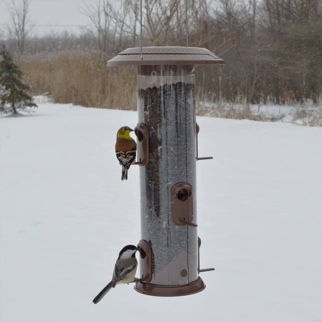 Nature's Way Deluxe Wide Funnel Flip-Top Tube Tubed Wild Bird Feeder - 2.8 Qt Cap  