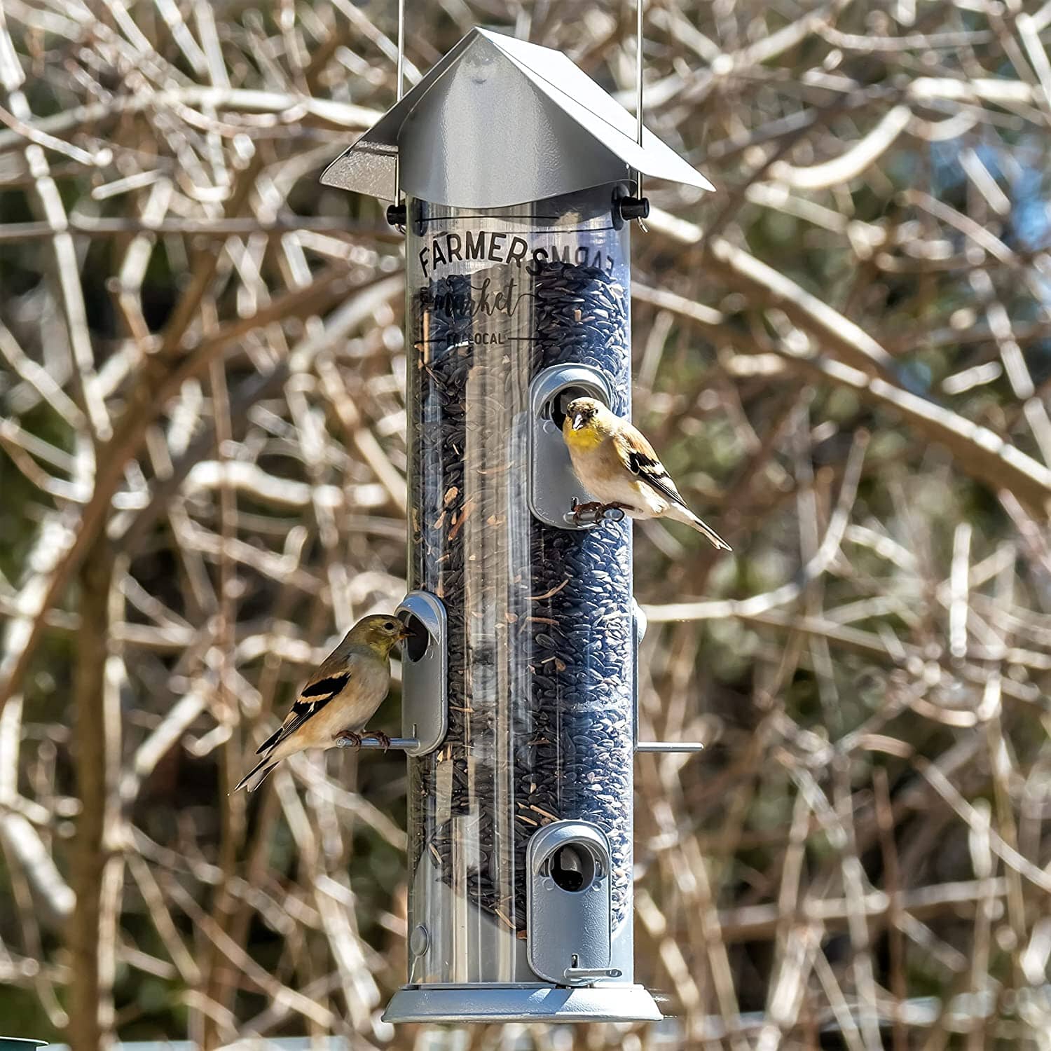 Nature's Way Farmhouse Deluxe Easy Clean Tubed Wild Bird Feeder - Silver - 2.8 Qt Cap  