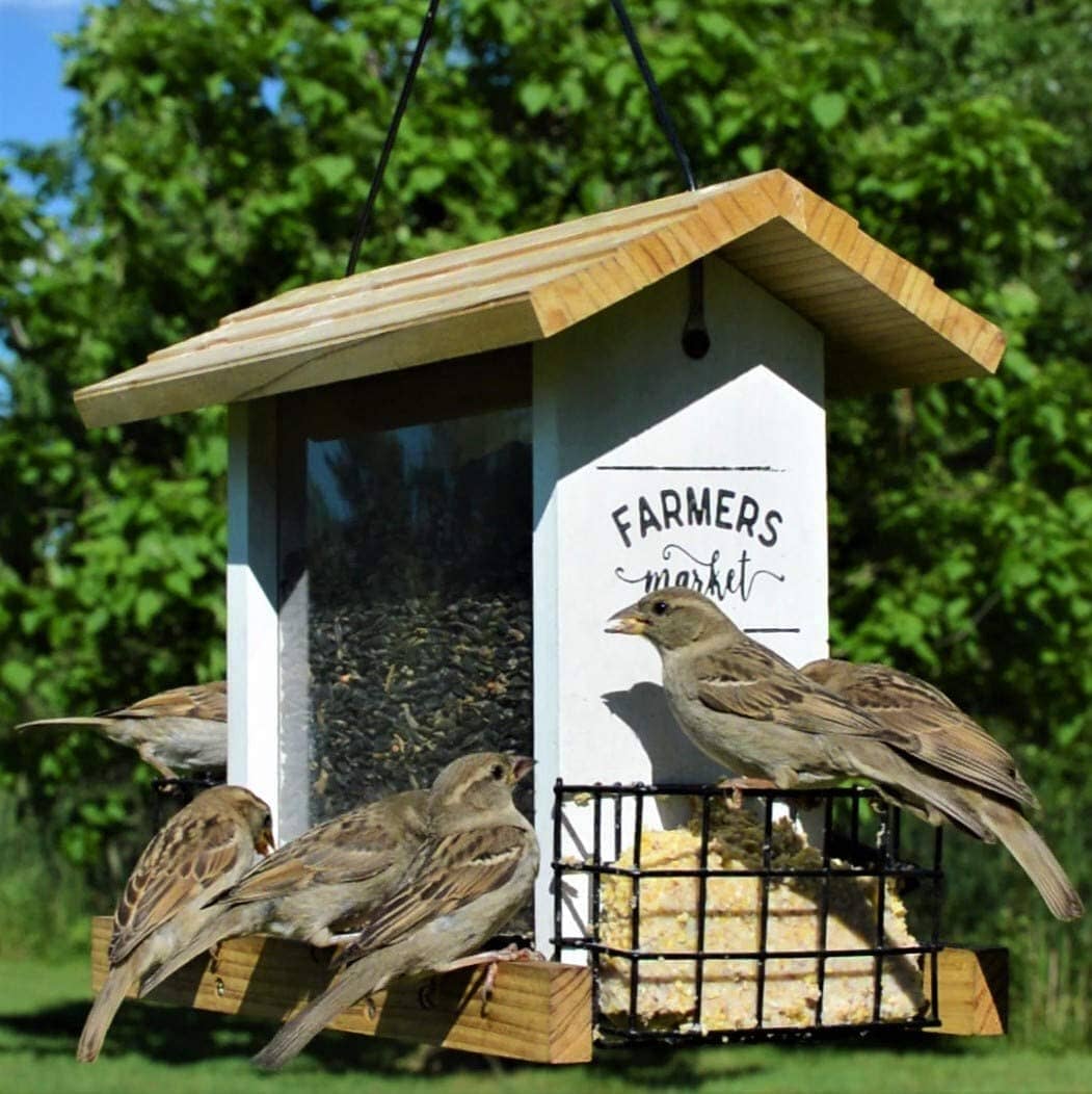 Nature's Way Farmhouse Wooden Hopper Wild Bird Feeder - White - 3 Qt Cap  