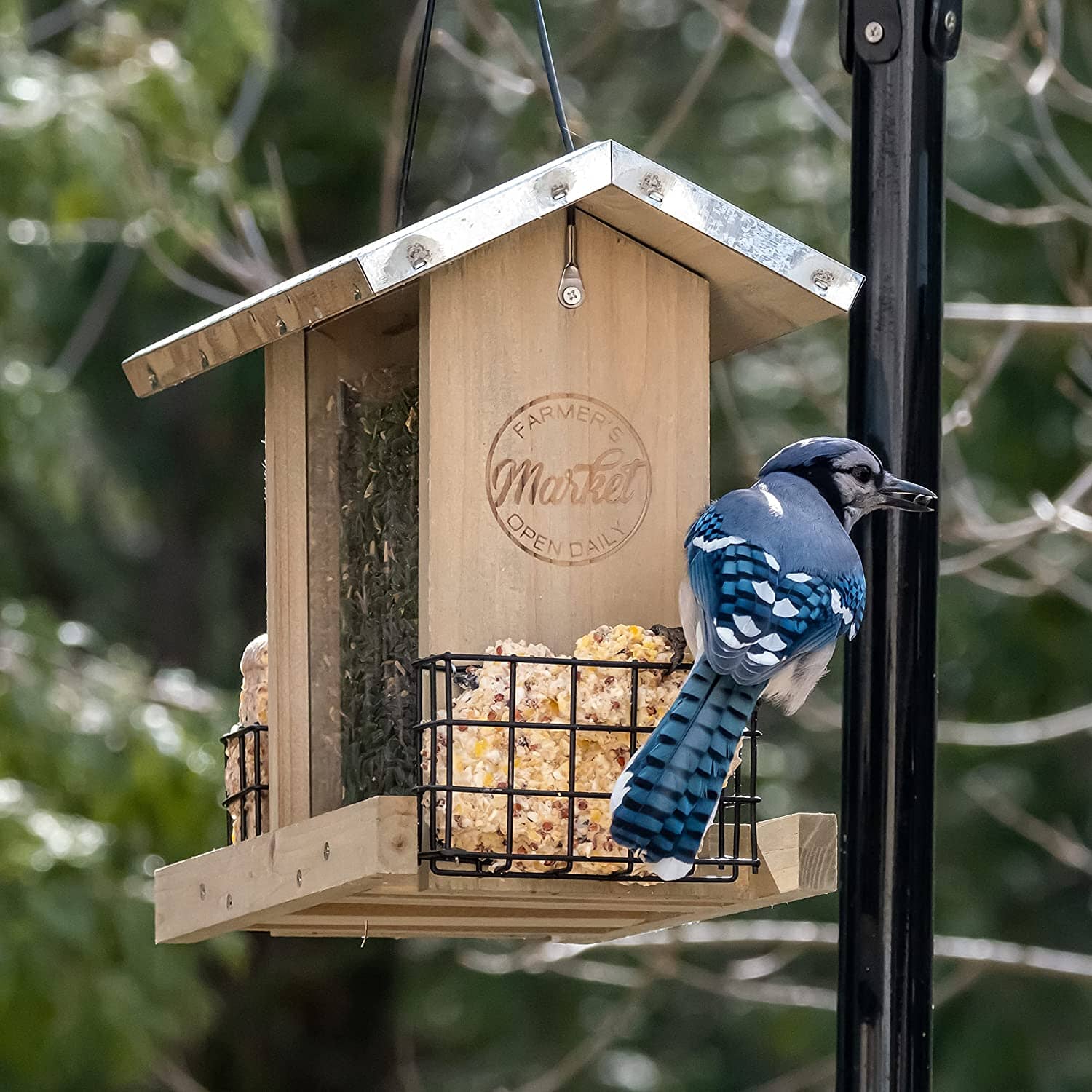 Nature's Way Galvanized Weathered Wooden Hopper Wild Bird Feeder - 3 Qt Cap  