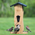 Nature's Way Vertical Wave Wooden Hopper Wild Bird Feeder - Bamboo - 2 Qt Cap  