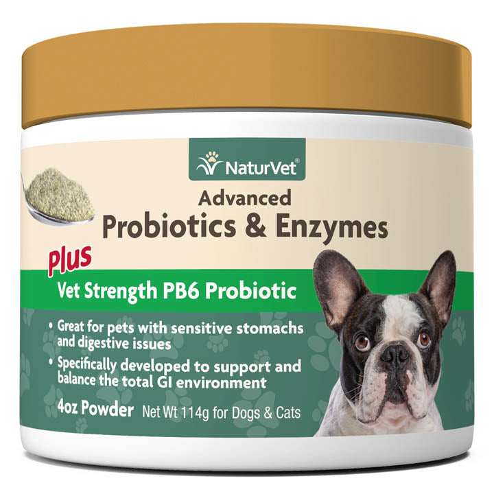 Naturvet Advanced Probiotic & Enzymes Powder Digestive Dog Supplements - 4 oz Jar  