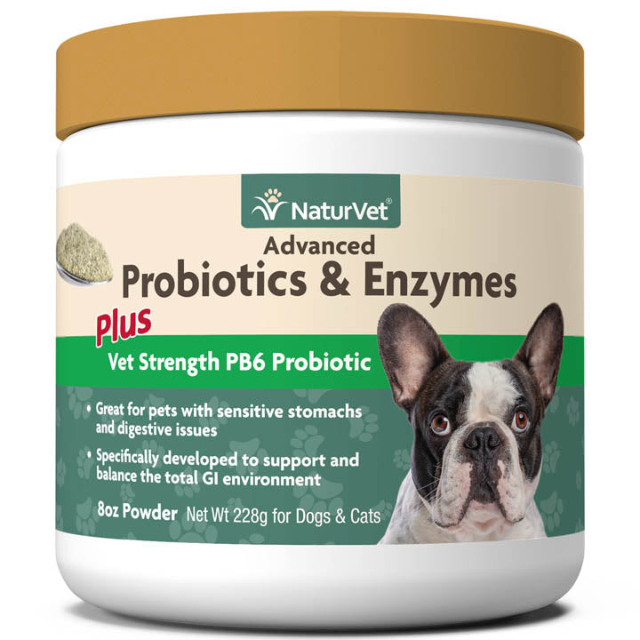 Naturvet Advanced Probiotic & Enzymes Powder Digestive Dog Supplements - 8 oz Jar  