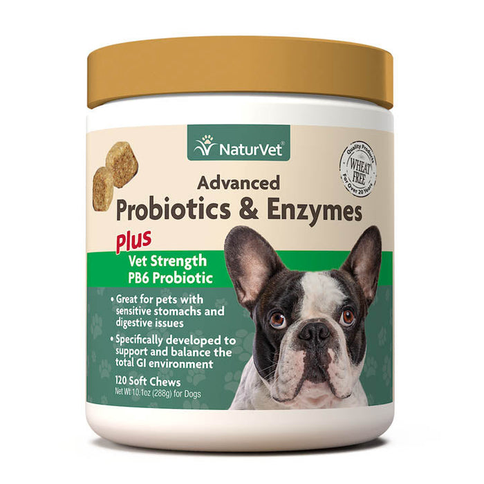 Naturvet Advanced Probiotic & Enzymes Soft Chew Digestive Dog Supplements - 120 ct Jar
