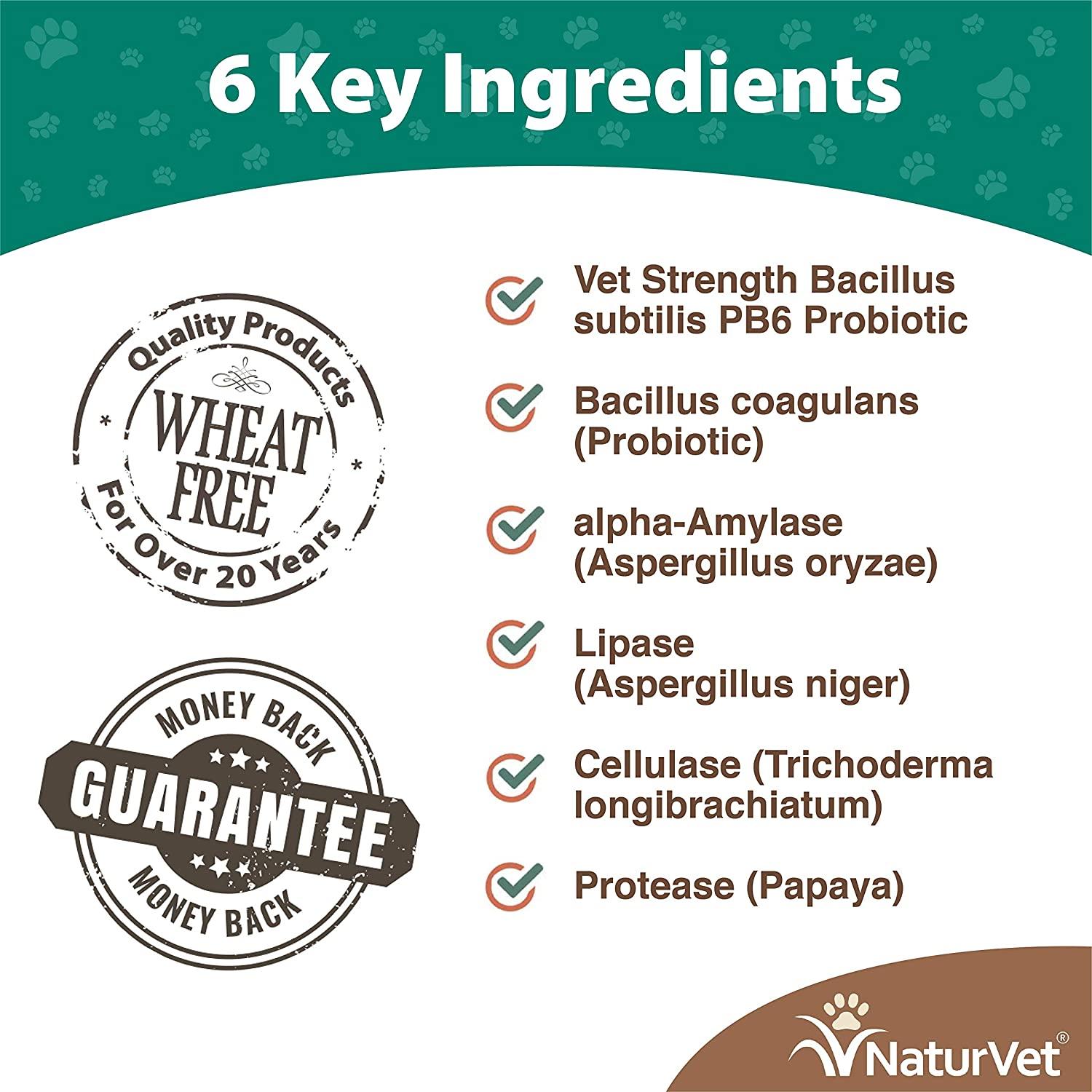 Naturvet Advanced Probiotic & Enzymes Soft Chew Digestive Dog Supplements - 120 ct Jar  