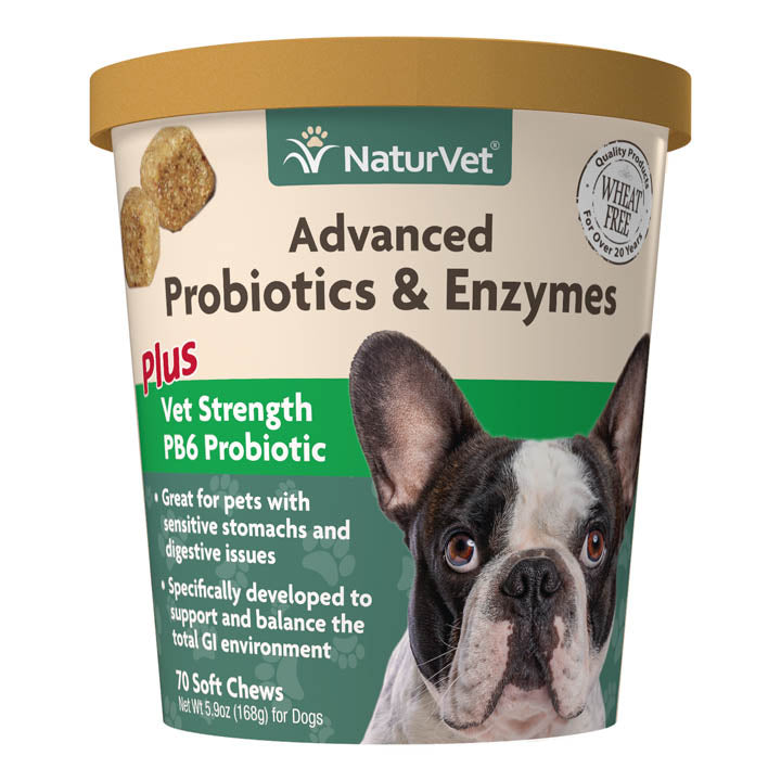 Naturvet Advanced Probiotic & Enzymes Soft Chew Digestive Dog Supplements - 70 ct Cup  