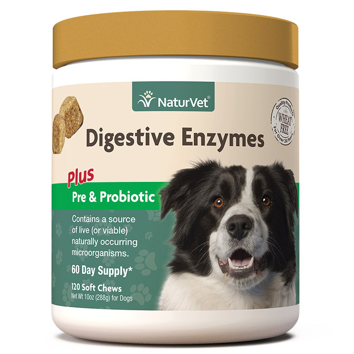 Naturvet Digestive Enzymes Plus Probiotics Soft Chew Dog Supplements - 120 ct Jar  