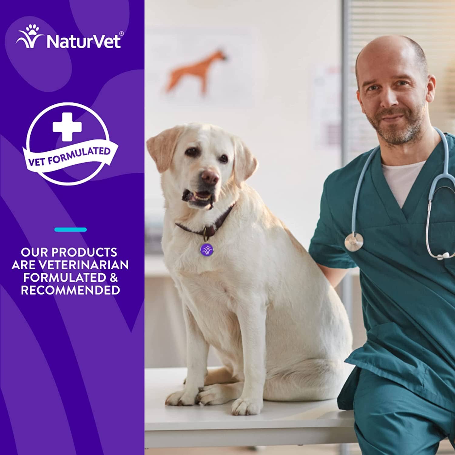 Naturvet Evolutions - Advanced Joint Soft Chews - 90 Count  