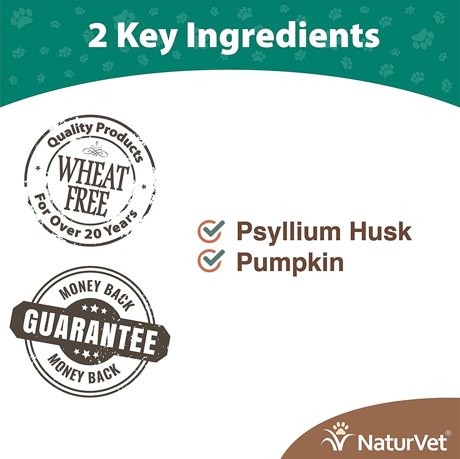 Naturvet Hairball Plus Pumpkin Cat Chewy Supplements - 100 ct Cup  