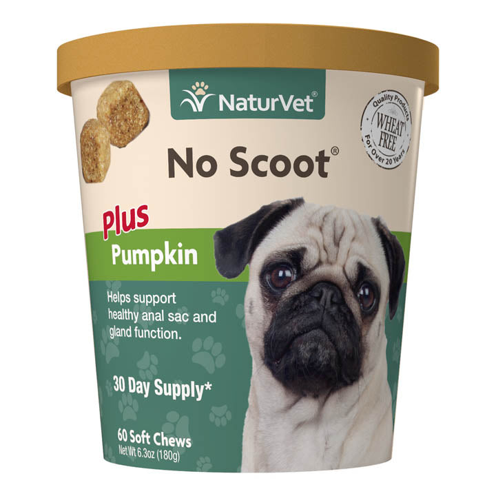 Naturvet No Scoot Plus Pumpkin Soft Chew Dog Supplements - 60 ct Cup  