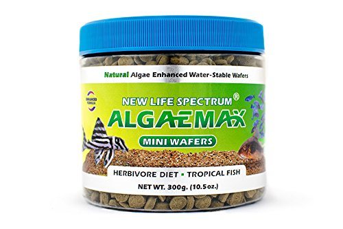 New Life Spectrum Algaemax Miniwafers - 7.5 mm Sinking Wafers - 300 g  