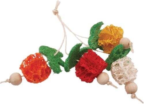 Nibbles Loofah Bunch of Fruits Chew Small Animal Chewy Treats - Small  