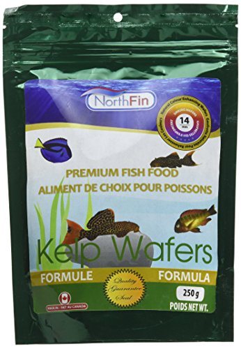 NorthFin Kelp Wafers - 14 mm - 250 g  