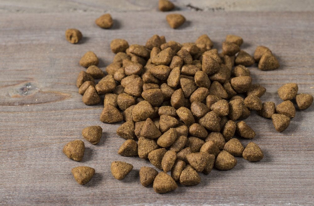 Nulo FreeStyle Limited+ Grain Free Alaska Pollock & Lentils Recipe Puppy & Adult Dry Dog Food  