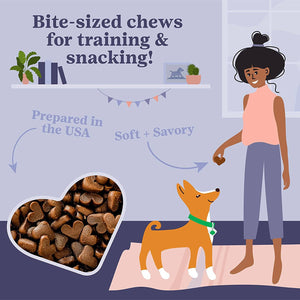 Chewy nutrisource clearance