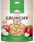 Nutro Apple Crunchy Biscuit Dog Treats - 16 oz - Case of 12  