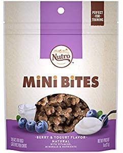 Nutro Mini Bites Berry Crunchy Dog Treats - 8 oz - Case of 6  