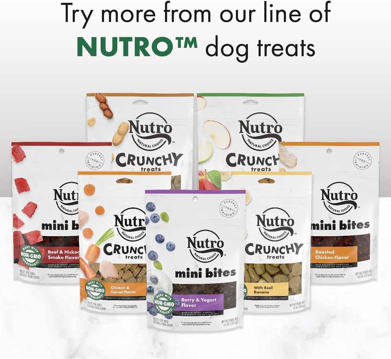 Nutro Mixed Berry Crunchy Biscuit Dog Treats - 10 oz - Case of 6  