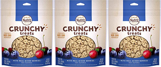 Nutro Mixed Berry Crunchy Biscuit Dog Treats - 16 oz - Case of 12  