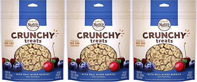 Nutro Mixed Berry Crunchy Biscuit Dog Treats - 16 oz - Case of 12